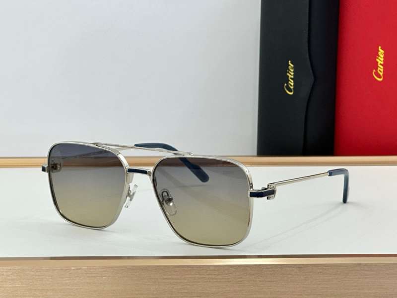Picture of Cartier Sunglasses _SKUfw55533063fw
